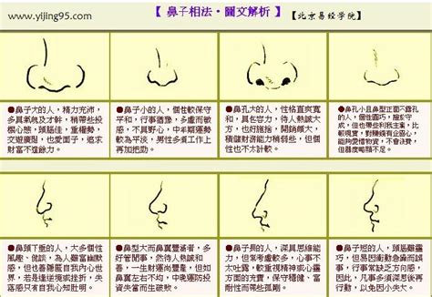 鼻子尖面相|【鼻尖面相】揭開鼻尖面相的秘密：你的鼻子形狀透露哪些個性與。